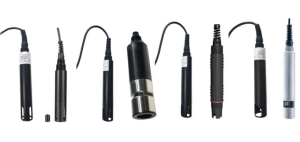 河北省某市推進生態(tài)環(huán)境建設(shè)，讓山更美水更清