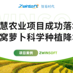 智易時(shí)代智慧農(nóng)業(yè)項(xiàng)目成功落地，助力沙窩蘿卜科學(xué)種植降本增效！
